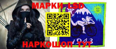 шишки Нарткала