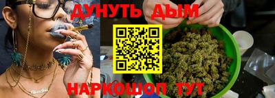 apvp Нальчик