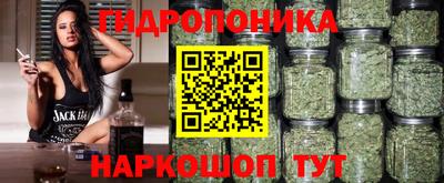 шишки Нарткала