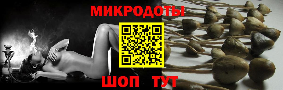 Мончегорск  Псилоцибиновые грибы мухоморы  Вход с VPN 